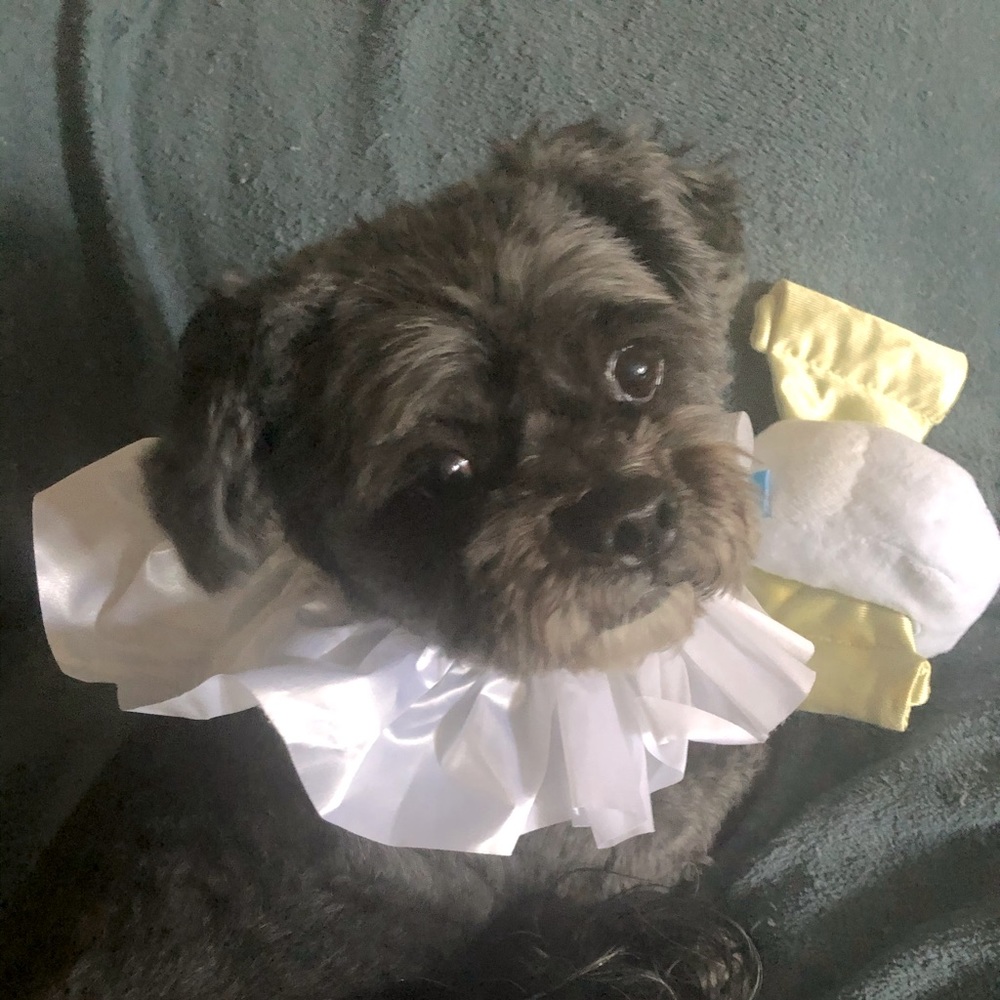 Meet your Posher, Bettina